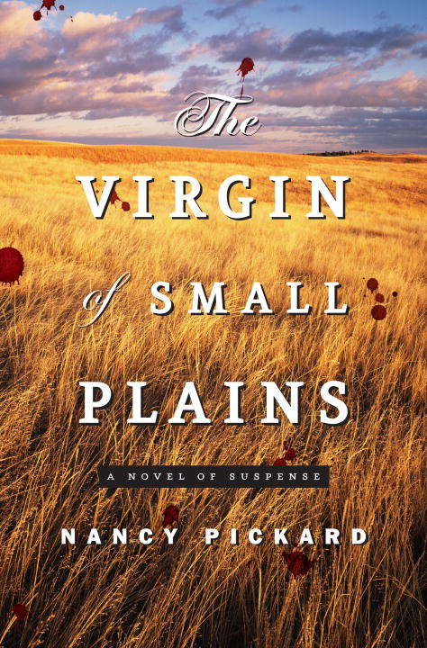 The Virgin of Small Plains: A Novel (Thorndike Basic Ser.)
