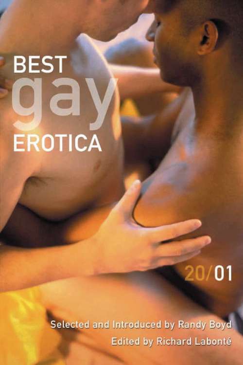 Book cover of Best Gay Erotica 2001