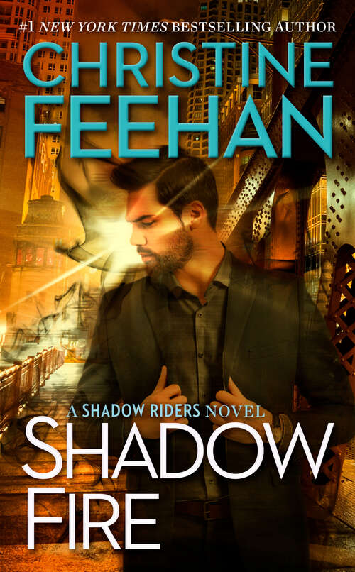 Book cover of Shadow Fire (A Shadow Riders Novel #7)