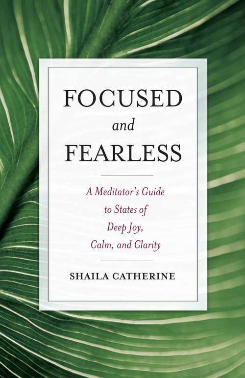 Book cover of Focused and Fearless
