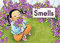 Book cover of Smells (Fountas & Pinnell LLI Green: Level A, Lesson 14)