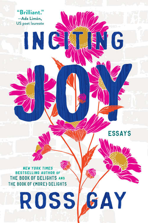 Book cover of Inciting Joy: Essays