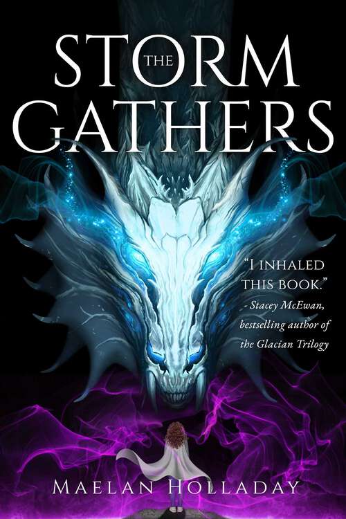 Book cover of The Storm Gathers (Stormfall)