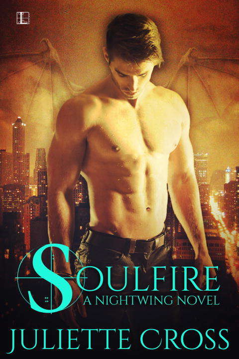 Book cover of Soulfire