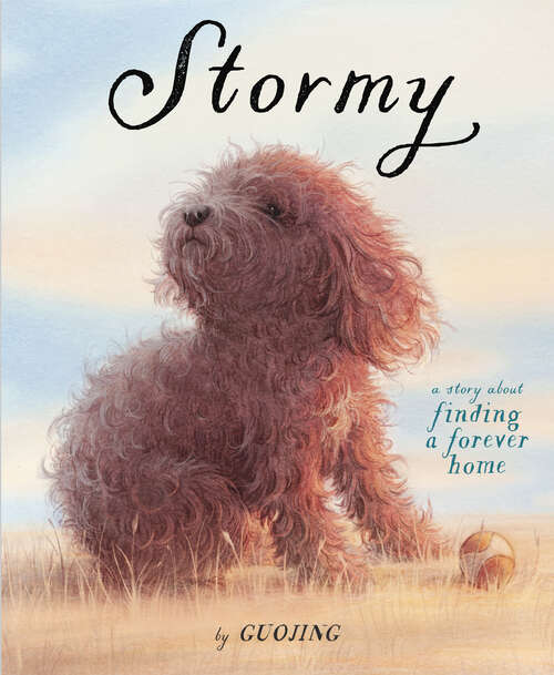 Book cover of Stormy: A Story About Finding a Forever Home