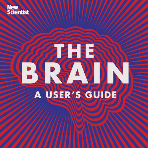 Book cover of The Brain: Everything You Need to Know