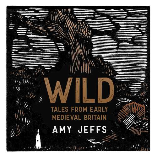 Book cover of Wild: Tales from Early Medieval Britain