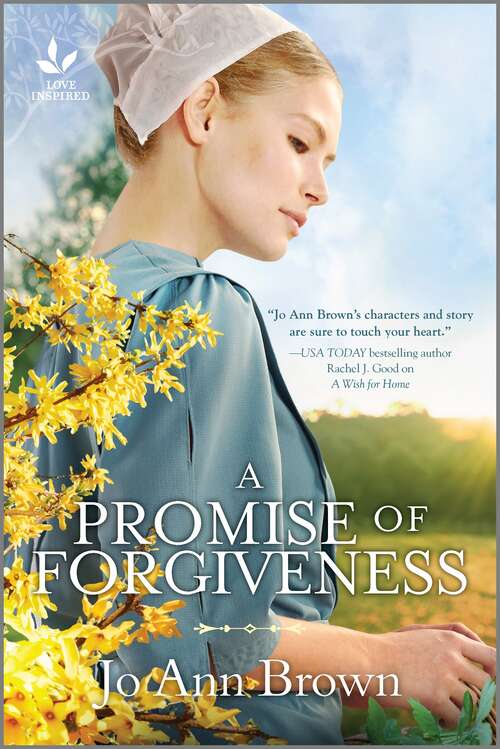 A Promise of Forgiveness: An Uplifting Amish Romance (Secrets of Bliss Valley #2)