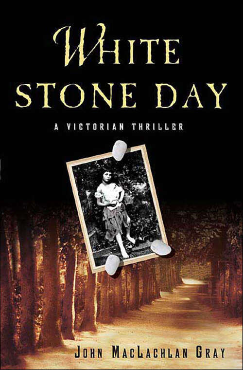 Book cover of White Stone Day: A Victorian Thriller (Edmund Whitty Victorian Thrillers)