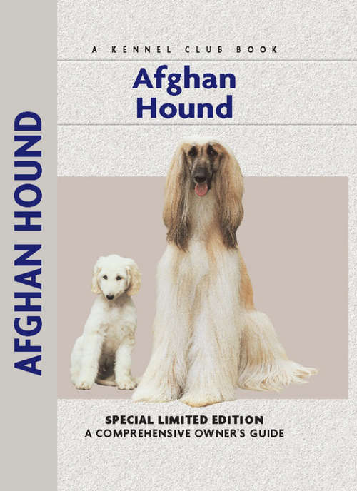 Book cover of Afghan Hound