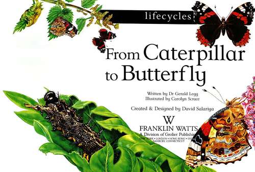 Book cover of Lifecycles From Caterpillar to Butterfly (Life Cycles Ser.lifecycles Series)