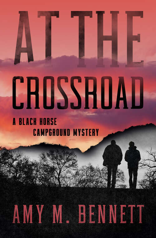 Book cover of At the Crossroad (Black Horse Campground Mysteries: Vol. 4)