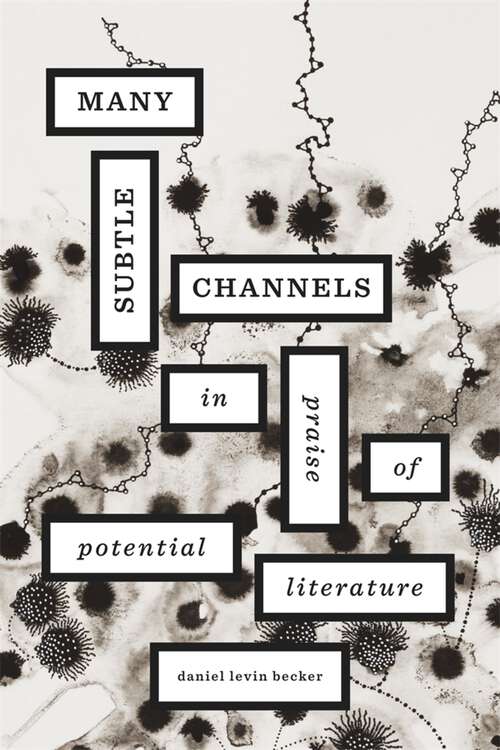 Book cover of Many Subtle Channels: In Praise of Potential Literature