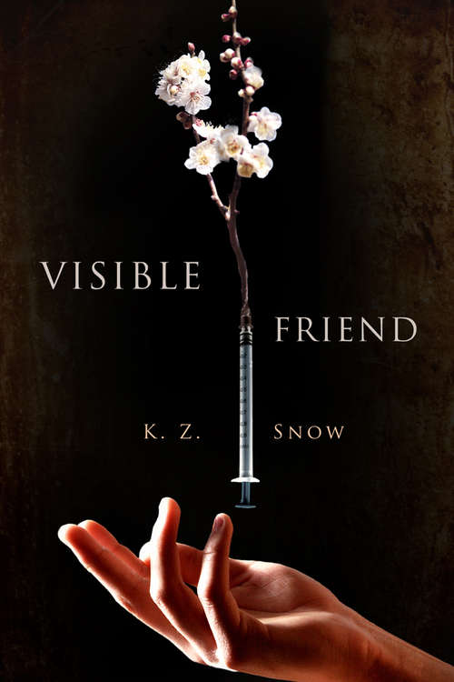 Book cover of Visible Friend