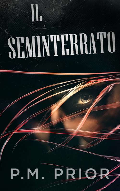 Book cover of Il seminterrato