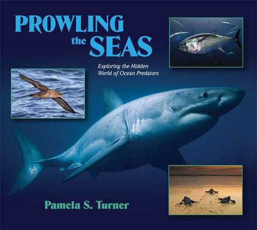 Book cover of Prowling the Seas: Exploring the Hidden World of Ocean Predators