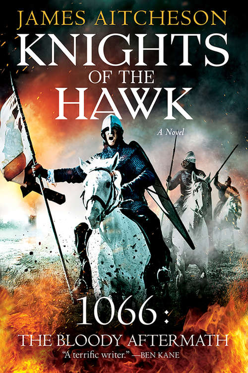 Book cover of Knights of the Hawk