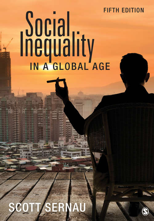 Book cover of Social Inequality in a Global Age