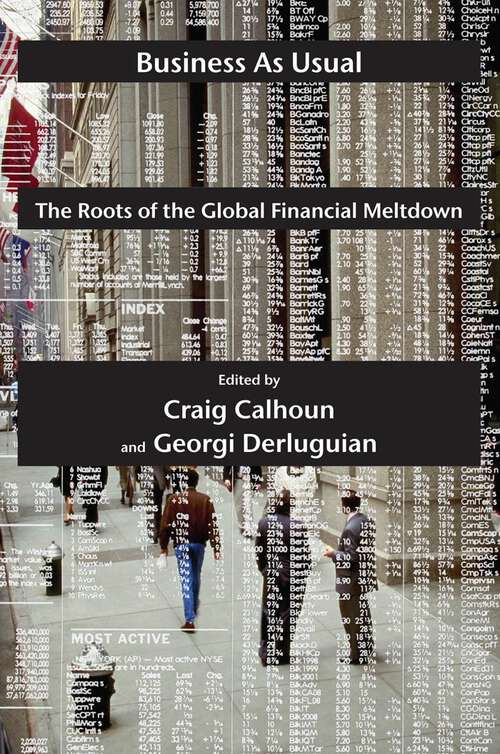 Book cover of Business as Usual: The Roots of the Global Financial Meltdown