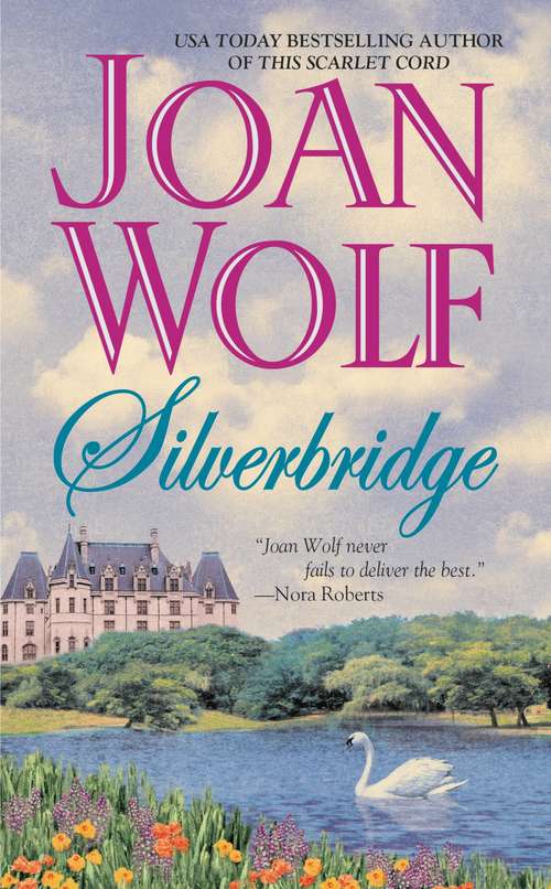 Book cover of Silverbridge