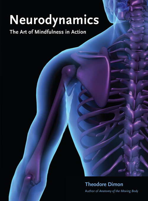 Book cover of Neurodynamics