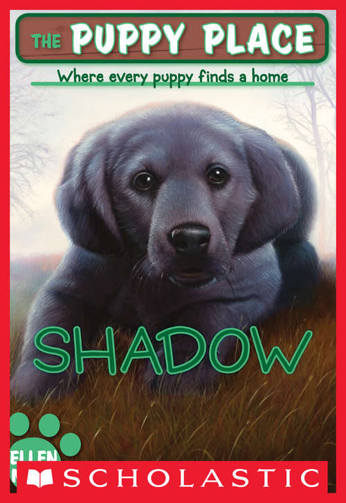 Book cover of The Puppy Place #3: Shadow (The Puppy Place #3)