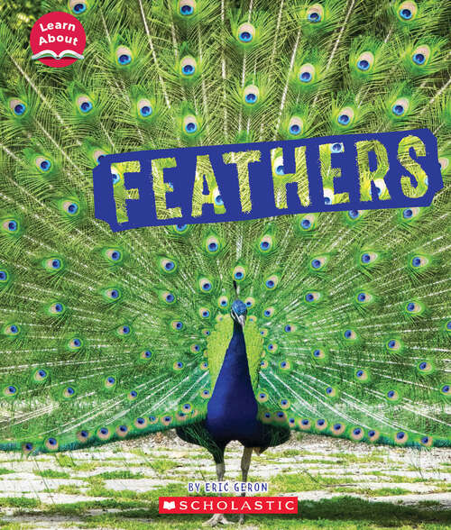 Book cover of Feathers (Learn About)