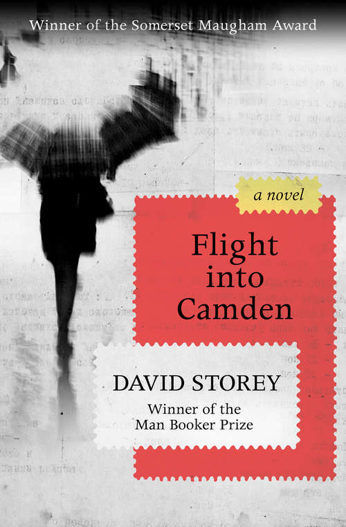 Book cover of Flight into Camden