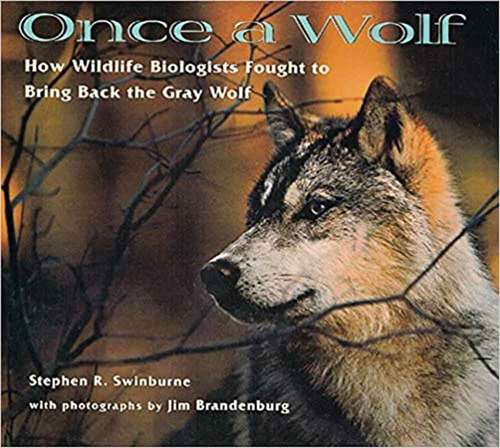 Book cover of Once a Wolf: How Wildlife Biologists Fought to Bring Back the Gray Wolf (Scientists In The Field)