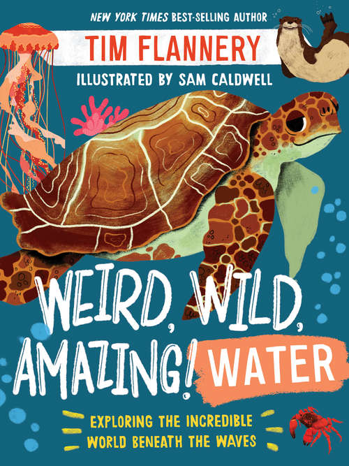 Book cover of Weird, Wild, Amazing! Water: Water