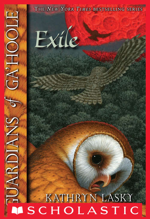 Book cover of Guardians of Ga'Hoole #14: The Exile