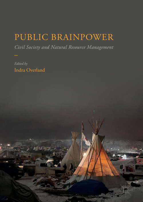 Book cover of Public Brainpower
