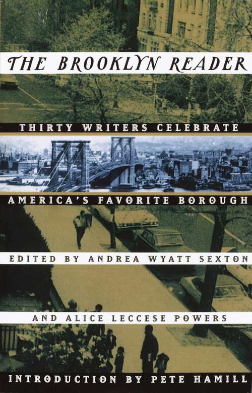 Book cover of The Brooklyn Reader