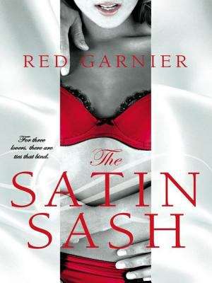 Book cover of The Satin Sash