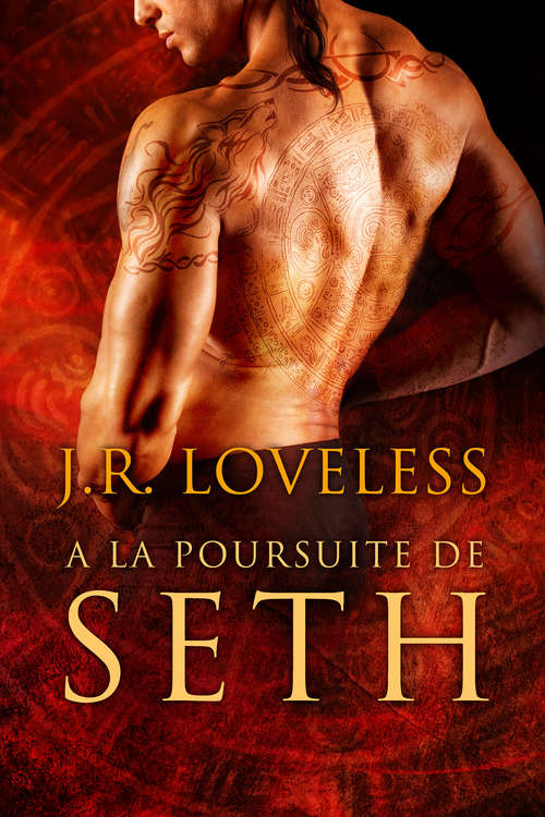 Book cover of À la poursuite de Seth