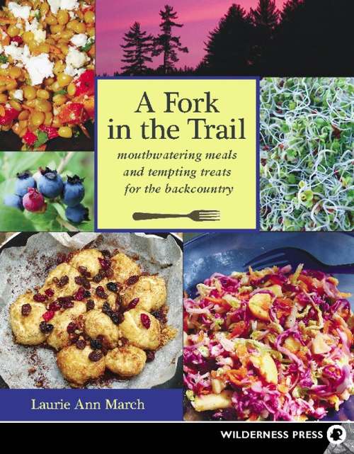 Book cover of Fork in the Trail