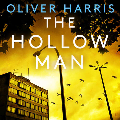 Book cover of The Hollow Man (A Nick Belsey Novel #7)