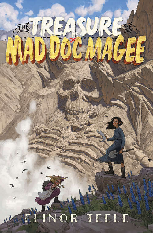 Book cover of The Treasure of Mad Doc Magee