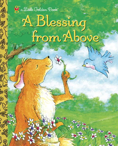 Book cover of A Blessing from Above