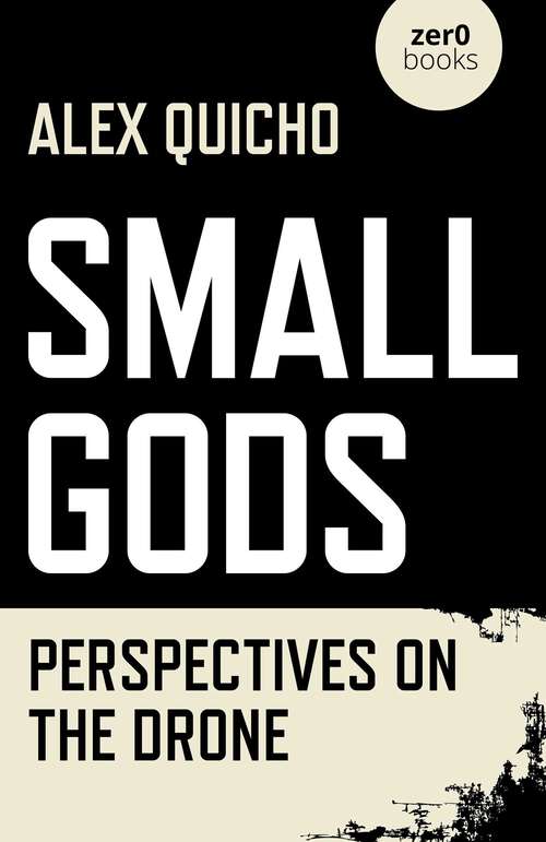 Book cover of Small Gods: Perspectives on the Drone