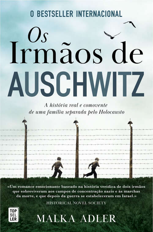 Book cover of Os Irmãos de Auschwitz