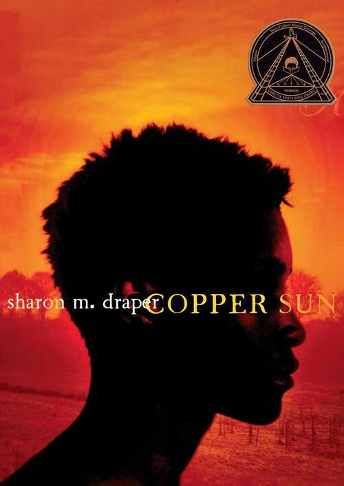 Book cover of Copper Sun