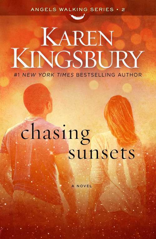 Book cover of Chasing Sunsets