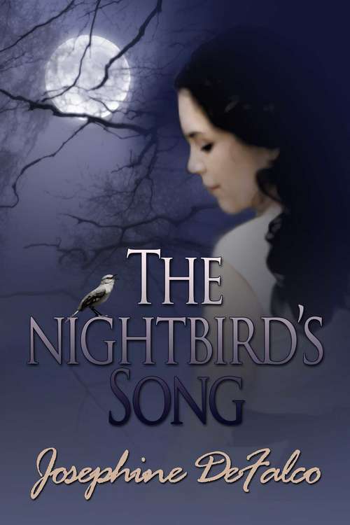 Book cover of The Nightbird's Song
