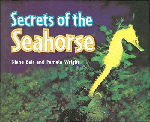 Book cover of Secrets of the Seahorse (Into Reading, Level E #55)