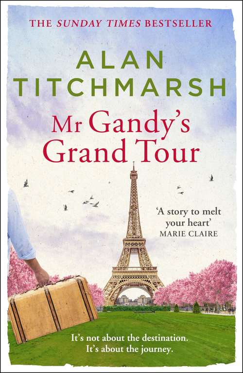 Book cover of Mr Gandy's Grand Tour