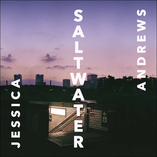 Book cover of Saltwater: Winner of the Portico Prize