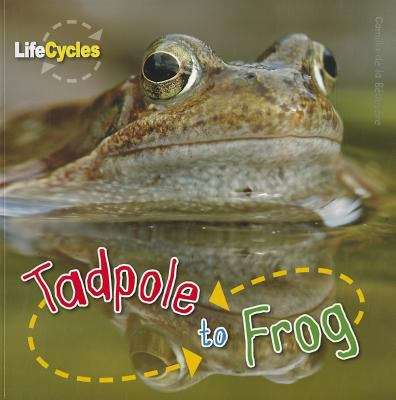 Tadpole To Frog