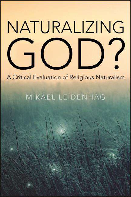 Book cover of Naturalizing God?: A Critical Evaluation of Religious Naturalism