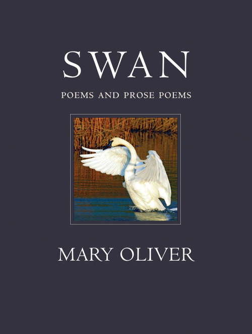 Book cover of Swan
